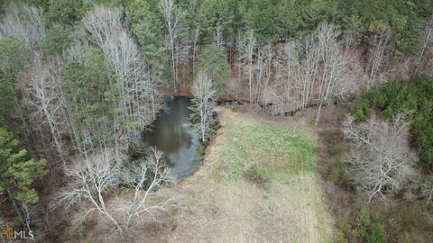 173 Rooks Ln, Bowdon, GA 30108 photo 27