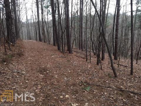 560 Yates Ln, Bowdon, GA 30108 photo 6