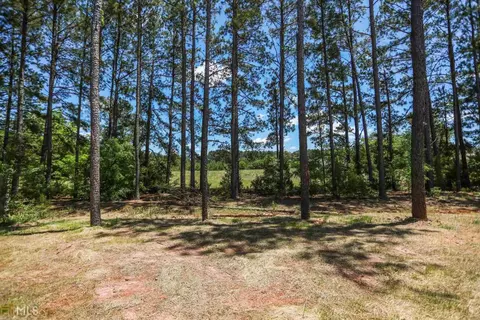 122 Back Cedar, Centerville, GA 31028 photo 42