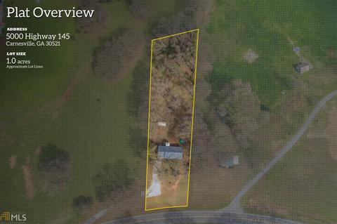 5000 Highway 145, Carnesville, GA 30521 photo 2
