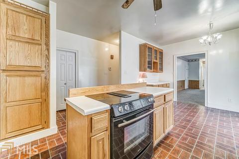 12921 Panhandle Rd, Hampton, GA 30228 photo 12