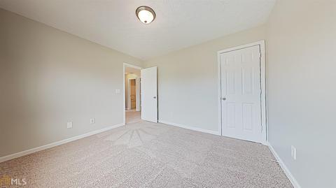 12827 Dolphin Pt, Hampton, GA 30228 photo 10