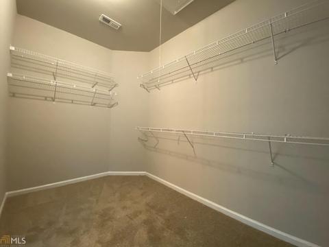 10706 Buckingham Cir, Hampton, GA 30228 photo 16