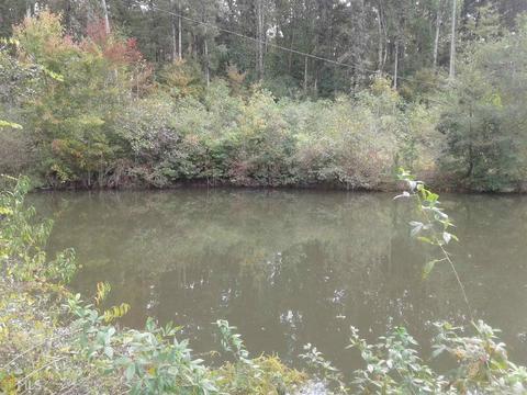 301 Phillips Rd, Royston, GA 30662 photo 13