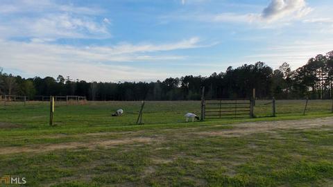 1089 Braddy Rd, Bartow, GA 30413 photo 53