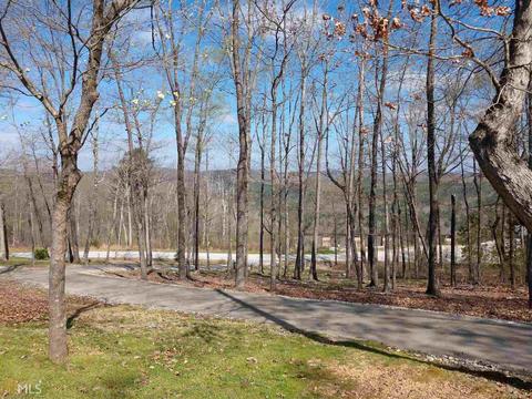 134 Trestle Pt, Toccoa, GA 30577 photo 36