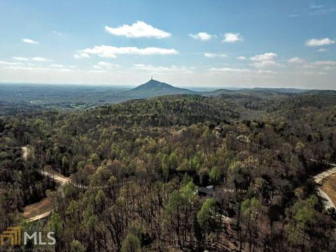 134 Trestle Pt, Toccoa, GA 30577 photo 29