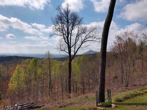134 Trestle Pt, Toccoa, GA 30577 photo 35