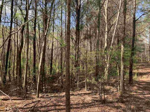1833 Rocky Creek Rd, Hampton, GA 30228 photo 1