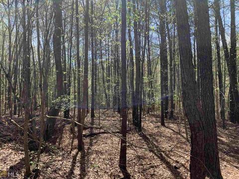 1833 Rocky Creek Rd, Hampton, GA 30228 photo 2