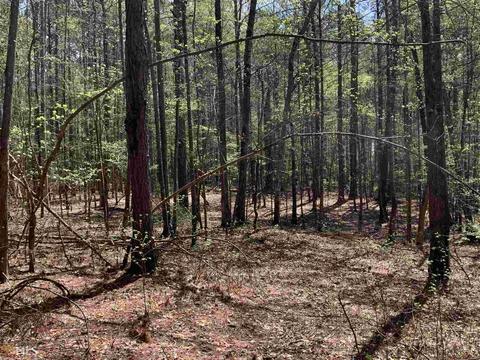 1833 Rocky Creek Rd, Hampton, GA 30228 photo 7
