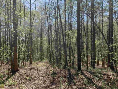 1833 Rocky Creek Rd, Hampton, GA 30228 photo 3