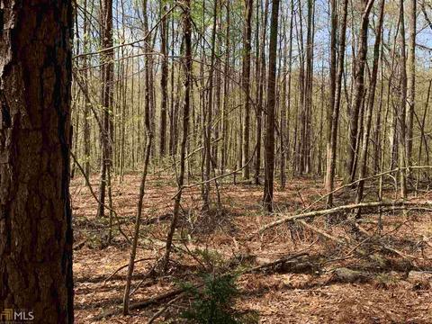 1833 Rocky Creek Rd, Hampton, GA 30228 photo 6