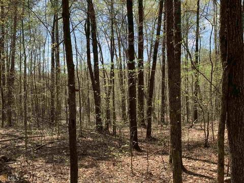 1833 Rocky Creek Rd, Hampton, GA 30228 photo 5