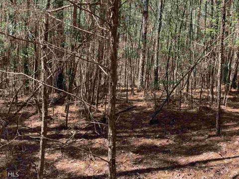 1833 Rocky Creek Rd, Hampton, GA 30228 photo 8