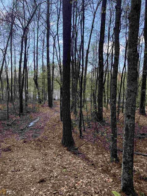 1833 Rocky Creek Rd, Hampton, GA 30228 photo 9