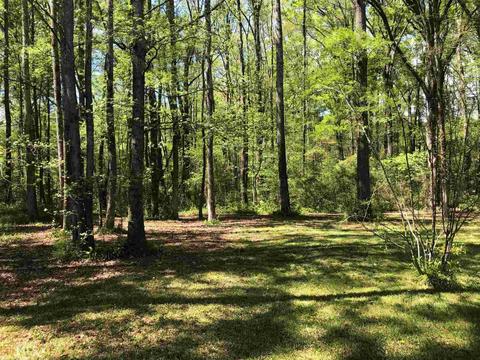 2791 Centennial Rd, Rutledge, GA 30663 photo 10