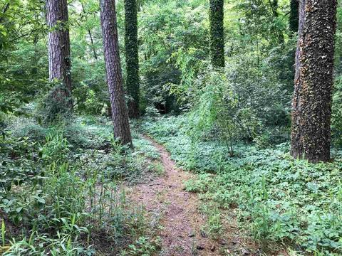 2780 Pioneer Ct, Chamblee, GA 30341 photo 39