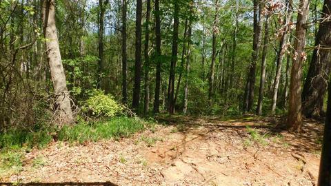 300 Forest Brook Dr, Covington, GA 30016 photo 3