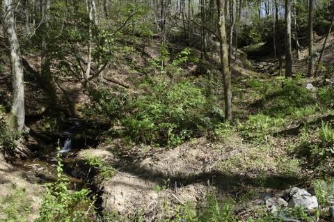 1300 Old River Rd, Cornelia, GA 30531 photo 82
