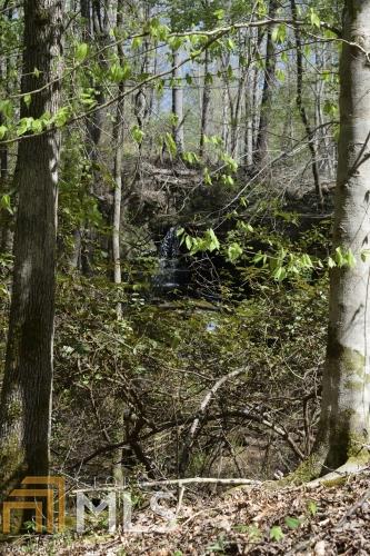 1300 Old River Rd, Cornelia, GA 30531 photo 83