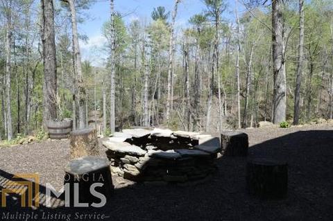 1300 Old River Rd, Cornelia, GA 30531 photo 13