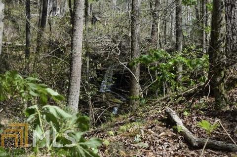 1300 Old River Rd, Cornelia, GA 30531 photo 84