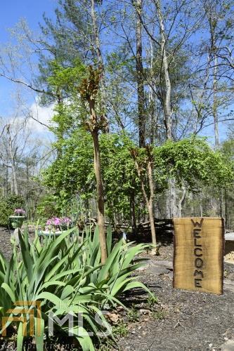 1300 Old River Rd, Cornelia, GA 30531 photo 18