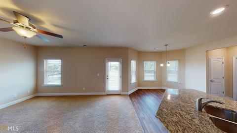 12317 Florin St, Hampton, GA 30228 photo 9