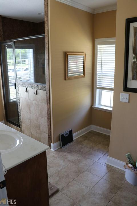 252 Griffin Rd, Oglethorpe, GA 31068 photo 44