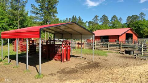 252 Griffin Rd, Oglethorpe, GA 31068 photo 19