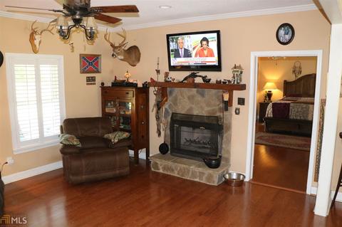 252 Griffin Rd, Oglethorpe, GA 31068 photo 39