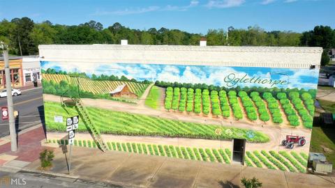 252 Griffin Rd, Oglethorpe, GA 31068 photo 66