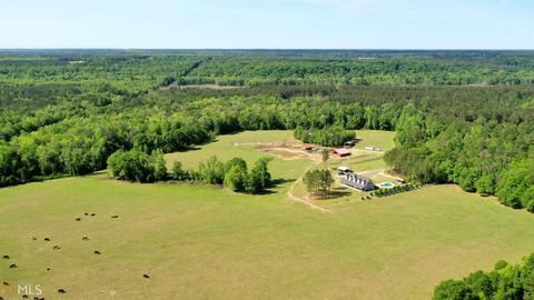252 Griffin Rd, Oglethorpe, GA 31068 photo 14