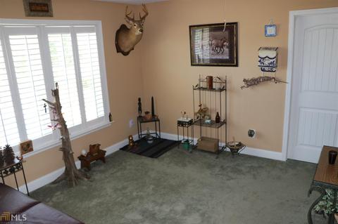 252 Griffin Rd, Oglethorpe, GA 31068 photo 48