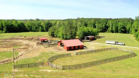 252 Griffin Rd, Oglethorpe, GA 31068 photo 7