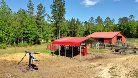 252 Griffin Rd, Oglethorpe, GA 31068 photo 18