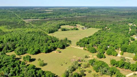 252 Griffin Rd, Oglethorpe, GA 31068 photo 9