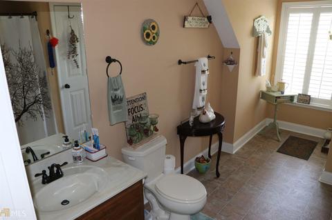 252 Griffin Rd, Oglethorpe, GA 31068 photo 53