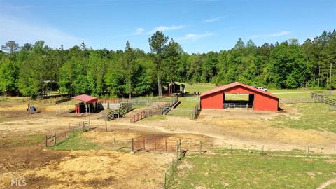 252 Griffin Rd, Oglethorpe, GA 31068 photo 17