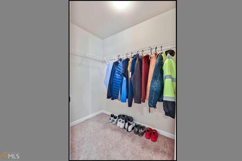 1706 Blue Heron Way, Hampton, GA 30228 photo 19