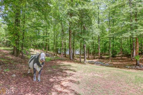 15 Cornish Trace Dr, Covington, GA 30014 photo 81
