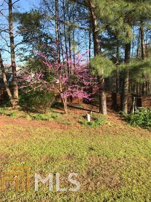 205 Revolutionary Dr, Hampton, GA 30228 photo 34