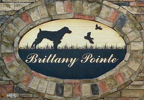 364 Brittany Pointe Dr, Colbert, GA 30628 photo 20