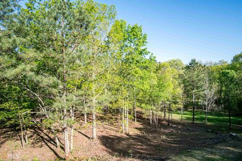 1360 White Rd, White, GA 30184 photo 38