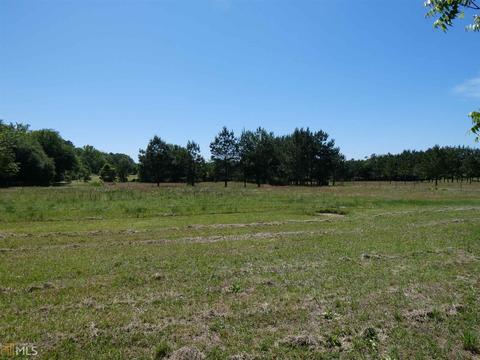 8105 Hamburg State Park Rd, Mitchell, GA 30820 photo 16