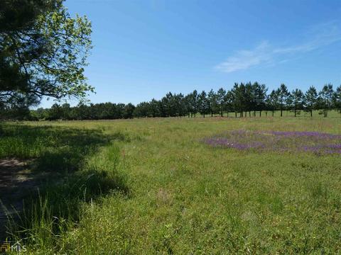 8105 Hamburg State Park Rd, Mitchell, GA 30820 photo 14