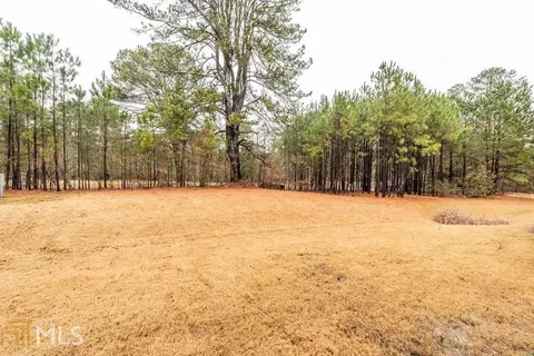 123 Silvertop Dr, Grayson, GA 30017 photo 52