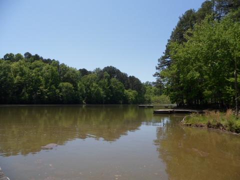 170 Greenock Cv, Toccoa, GA 30577 photo 16