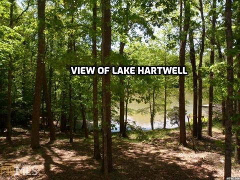 170 Greenock Cv, Toccoa, GA 30577 photo 4